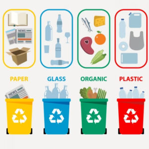 Khám Phá Cách Phân Loại Rác Thải 5 Tiêu Đề Hữu Ích Cho Bạn